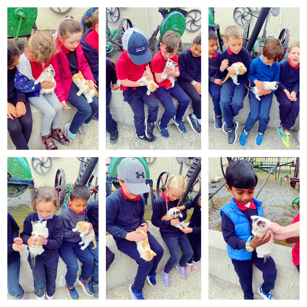 Junior Infants St Attracta's N.S. tweet media