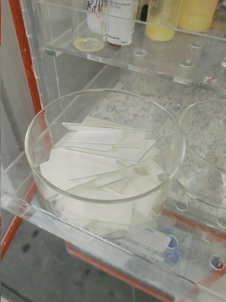 Our two ACS SEED students helping out in the lab with cutting glass TLC plates. They quickly excelled with better results than I was getting.
