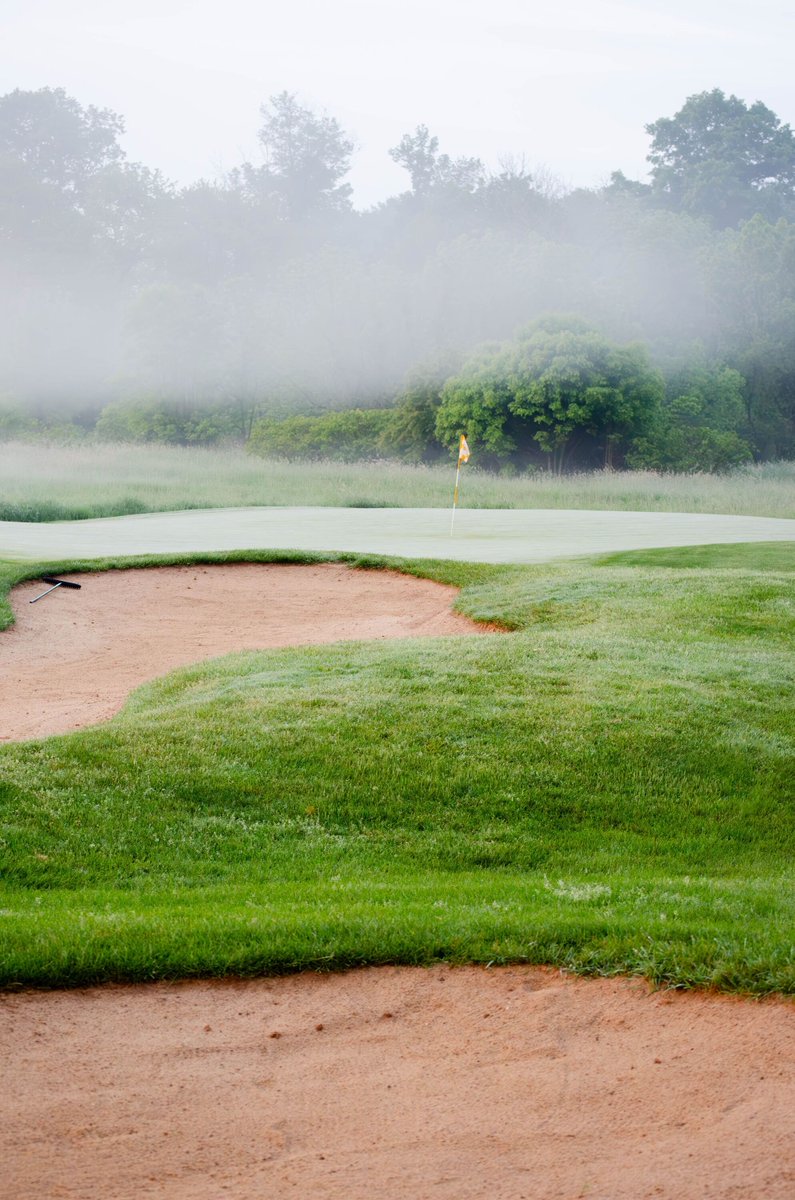 Misty summer mornings at the Brook.