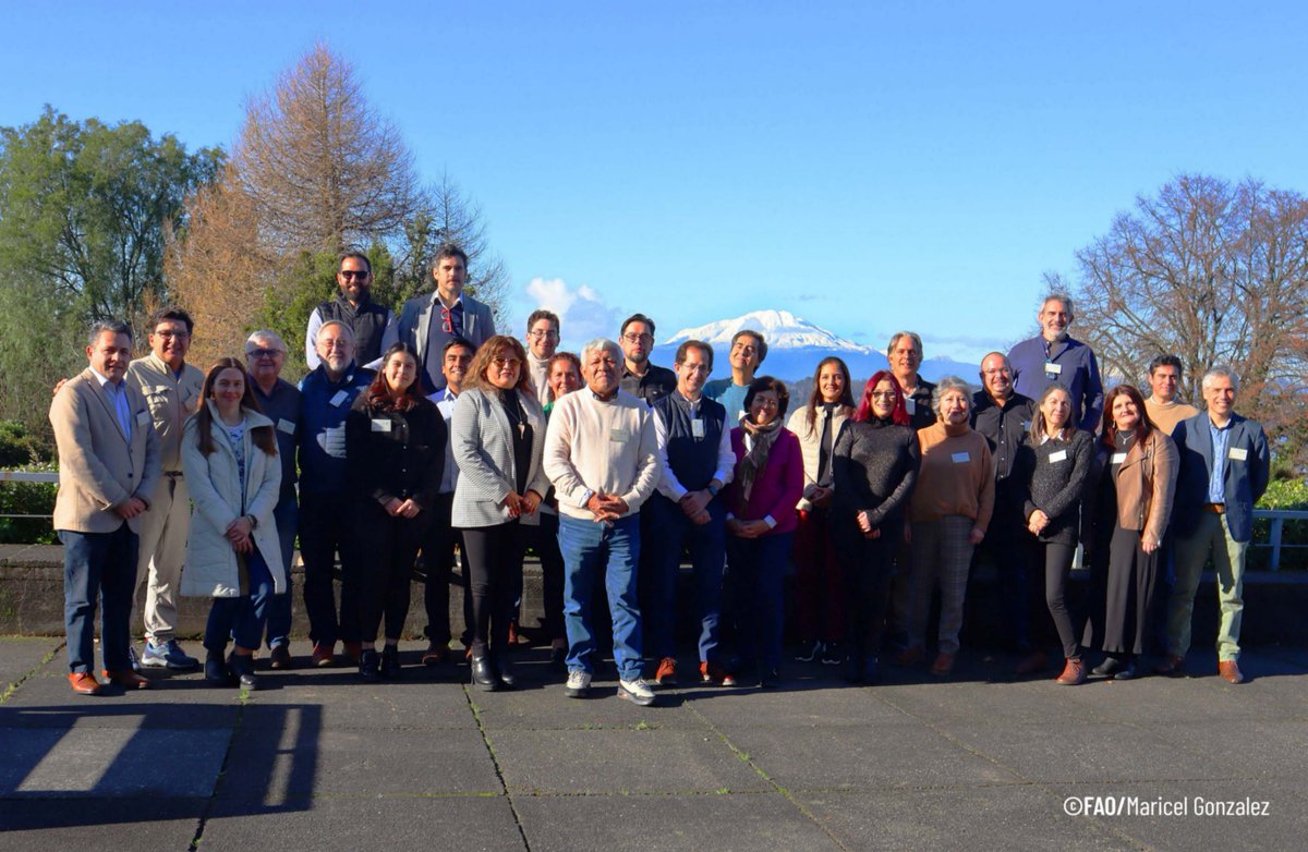 FAOAmericas's tweet image. Esta semana en Chile se reúnen 30 expertos en producción de macroalgas marinas de América Latina en el Taller #ACUIALGAS para compartir estrategias sobre el desarrollo acuícola. 

Una producción clave para la #SeguridadAlimentaria, medios de vida y la restauración de ecosistemas.