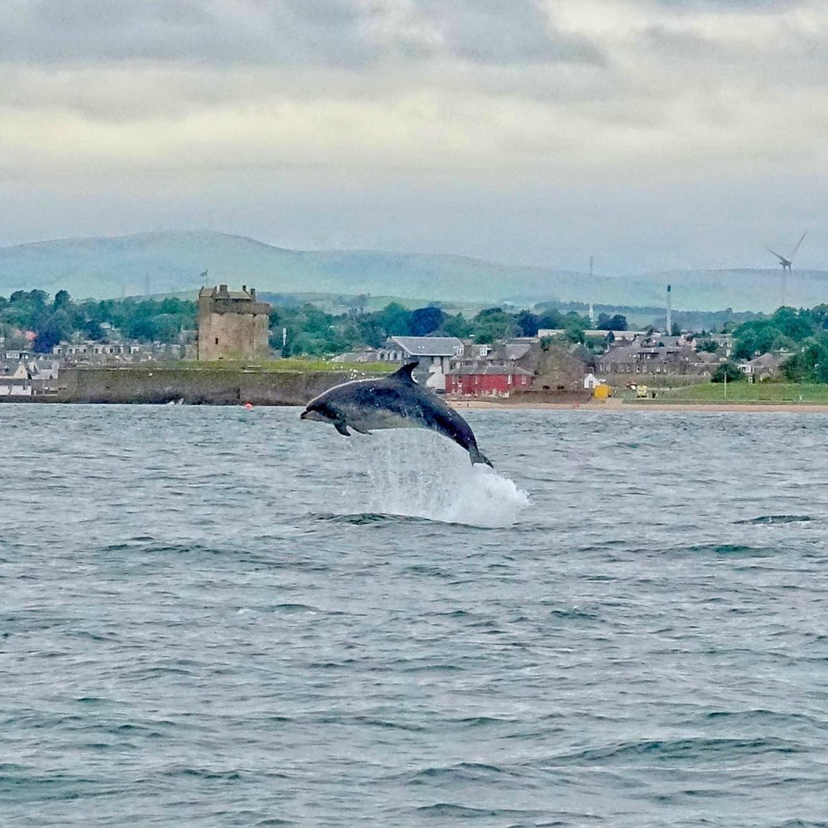 @visitdundee (@visitdundee1) on Twitter photo Wow.. sometimes no words are needed! Do it all in Dundee. Thanks to the amazing <a href="/SaltdogMarine/">SaltDog Marine</a> , if you’re visiting Dundee get a trip on the Tay booked. #visitscotland #dolphins Wow.. sometimes no words are needed! Do it all in Dundee. Thanks to the amazing <a href="/SaltdogMarine/">SaltDog Marine</a> , if you’re visiting Dundee get a trip on the Tay booked. #visitscotland #dolphins