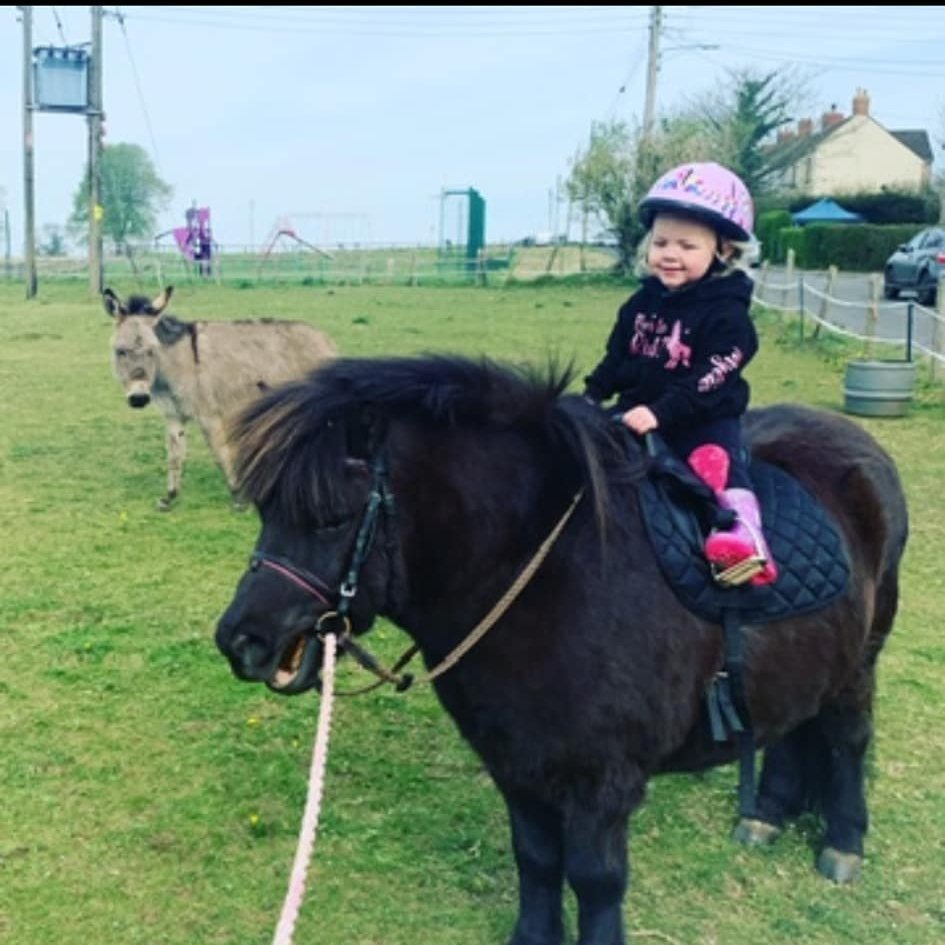 AdoptionsUk's tweet photo. PLEASE RETWEET TO HELP FIND BEAR, CHILD'S SHETLAND PONY STOLEN #RADSTOCK #SOMERSET #BATH #UK  'Still missing !!!!!!!!!!.. stolen from Ba3 radstock early hours of 23.5.24 .. Bear my daughters Shetland pony ..  7 years old very distinctive .. microchipped and has been registered stolen ‼️ please share and get him found .. my 6 year old daughter is heart broken    Share share share please 
 Original post on Facebook 👇https://t.co/SeE2B6eD44………
@MissingPetsGB
@RSPCA_official @DogLostUK @domdyer70 @BBCNews @itvnews @bbcsomerset @GMB
@EamonnHolmes @susannareid100
@lorraine #ShetlandPony #Bear #Pony #Shetland #Ponies #Horse #Horses #adoptdontshop #rescue #Stolen
@rickygervais @clarebalding @BritishHorse