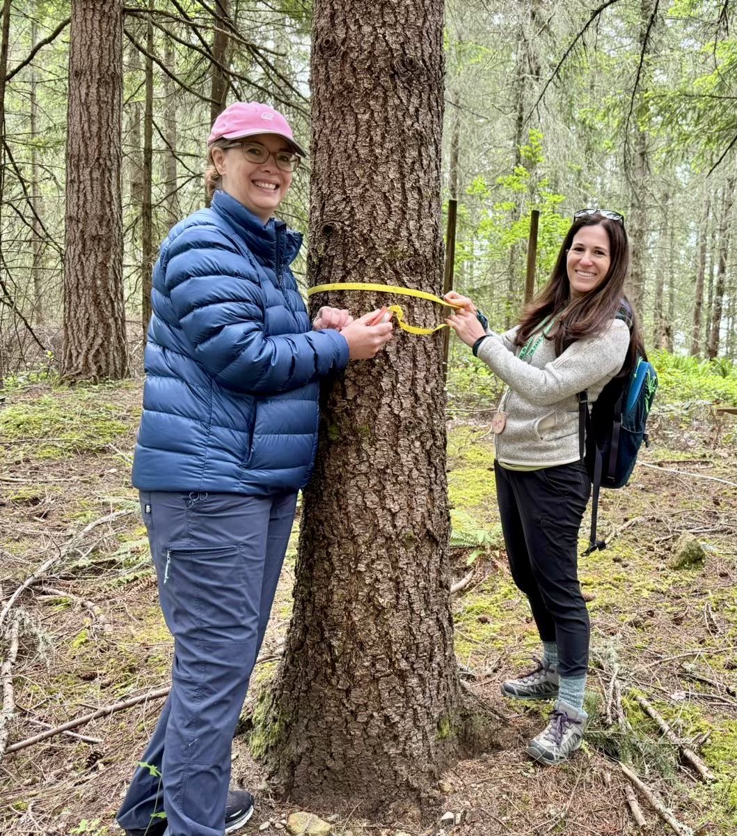 Glebe Elementary APS tweet media