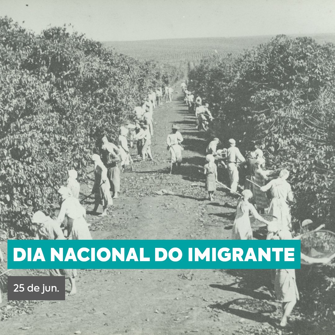 😃 Você sabia que hoje, 25/junho, é o #DiaNacionaldoImigrante? 
Além do trabalho realizado nas lavouras de #café, muitas pessoas de diferentes nacionalidades tiveram papel decisivo para a popularização da bebida.