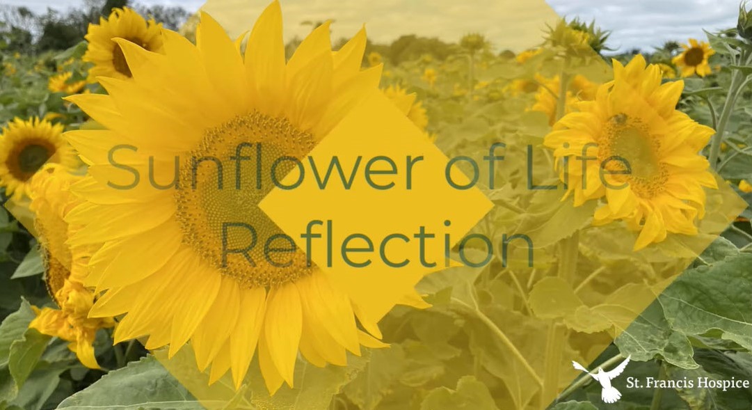 Welcome to our Sunflower of Life Reflection, as we remember our loved ones who have died.
youtu.be/ZbSaTdoJiCA?si…

You can send a virtual #sunflower in memory of someone special and find out more about our Sunflower of Life Field on sfh.ie/sunflower-day/.

#remembrance #hospice