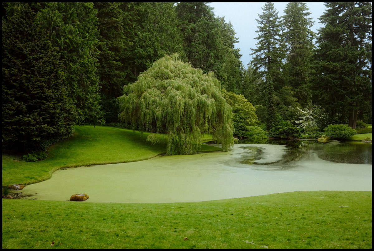 mikepbrennan's tweet photo. The color green https://t.co/IEdmCnKZBk