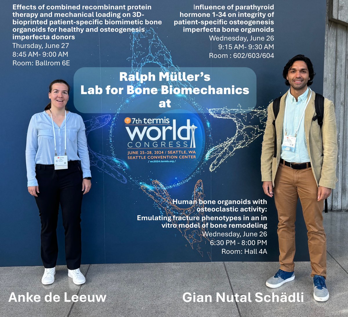 🌟 #TERMIS2024 <a href="/TERMISAM/">TERMIS-AM</a>! 🌟
Are you interested in mineralized bone models for disease modeling and drug testing? Join our presentations and poster session from <a href="/eth_bone/">Ralph Müller</a>, funded by <a href="/ETH_en/">ETH Zurich</a> and <a href="/PHRT_CH/">Personalized Health and Related Technologies</a>.

#BoneHealth #3DBioprinting #PersonalizedMedicine #Seattle