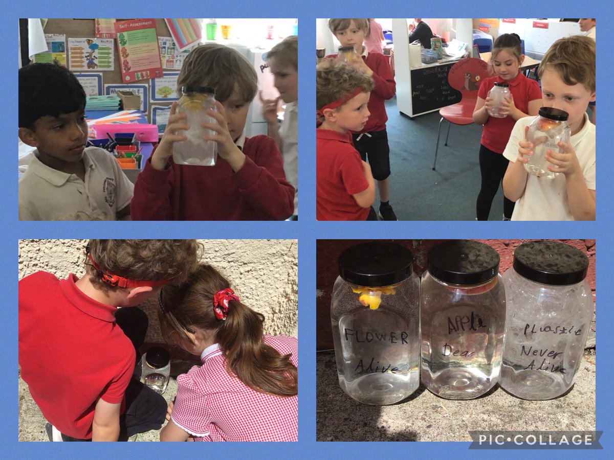 Penclawdd's tweet photo. Investigating which objects degrade the quickest in the ocean. We made predictions, talked about making our investigation fair and worked collaboratively to set it up correctly and accurately, so that we can observe any change #Pencsealions #Penc12 #PencSCI #PencHUM #PencEIC https://t.co/uarGEClsws