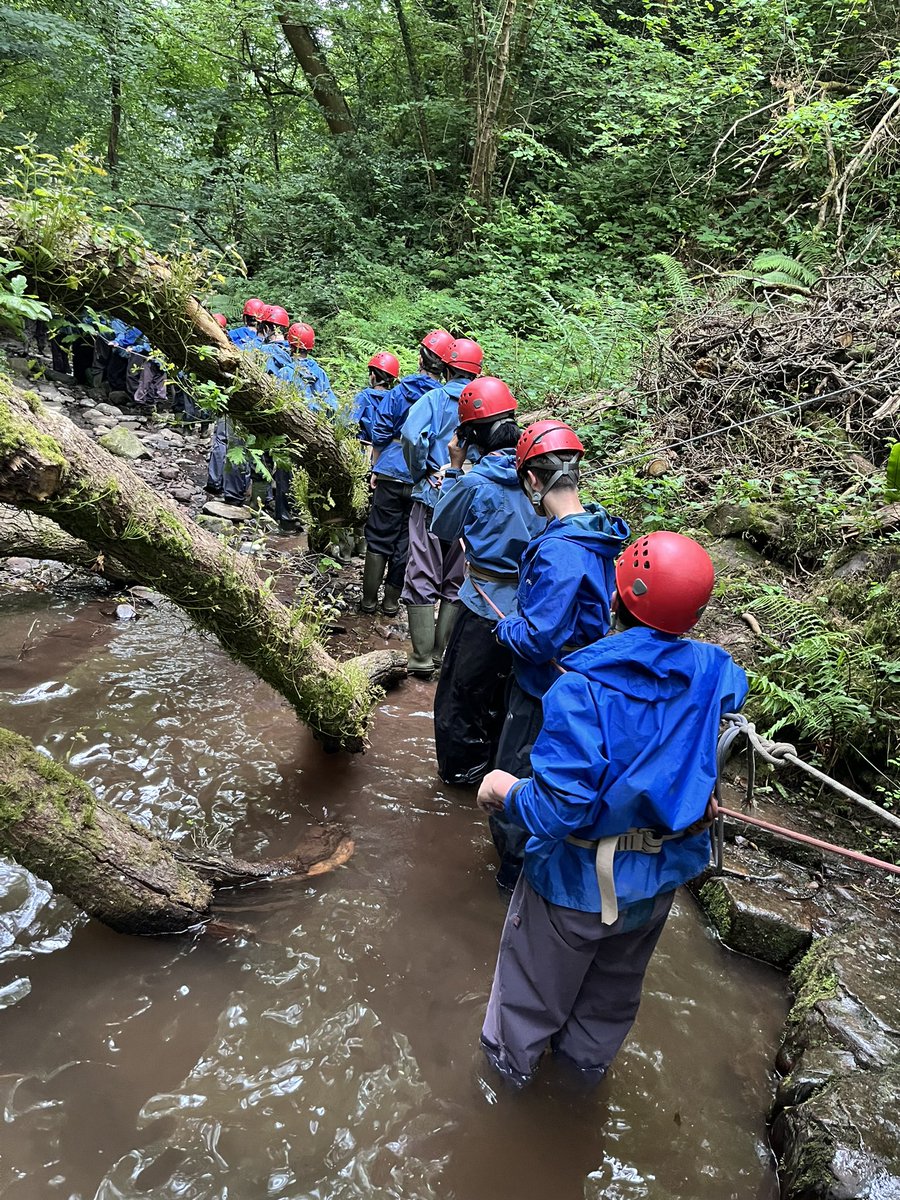 BWS Adventure tweet media