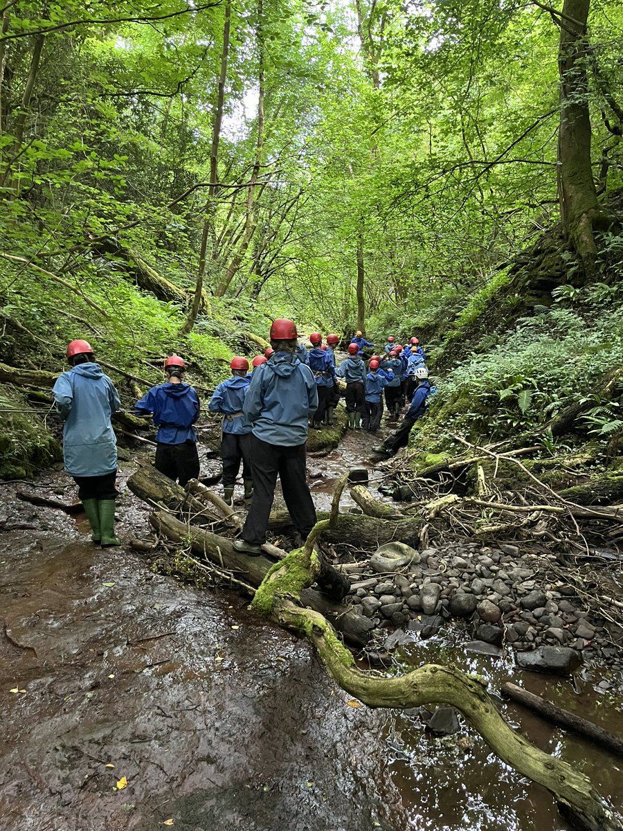 BWS Adventure tweet media