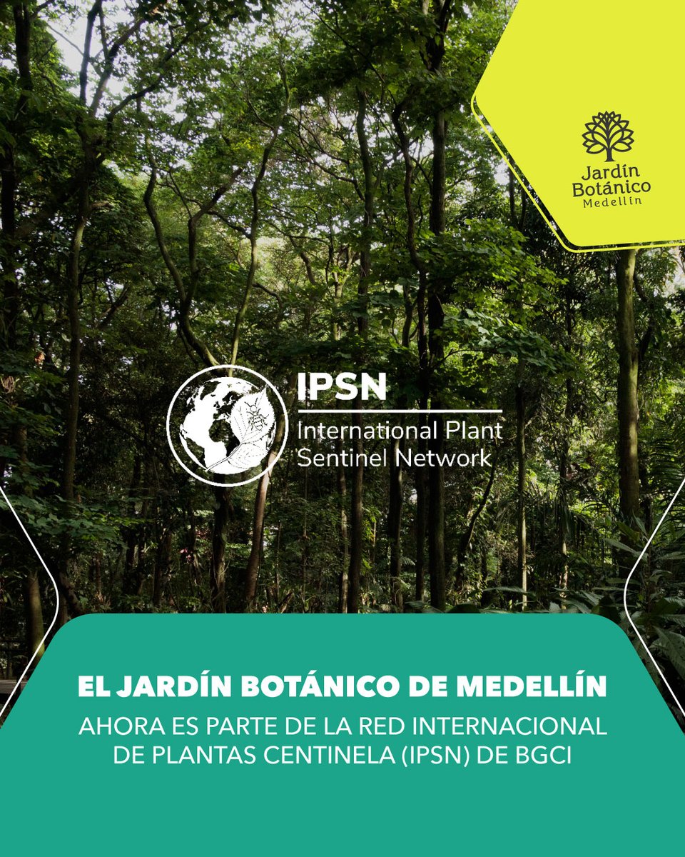 Nos enorgullece anunciar que somos el primer jardín botánico de Colombia en unirse a la Red Internacional de Plantas Centinela <a href="/IPSN_BGCI/">IPSN</a> 🎊, que promueve la salud de las plantas a escala global.