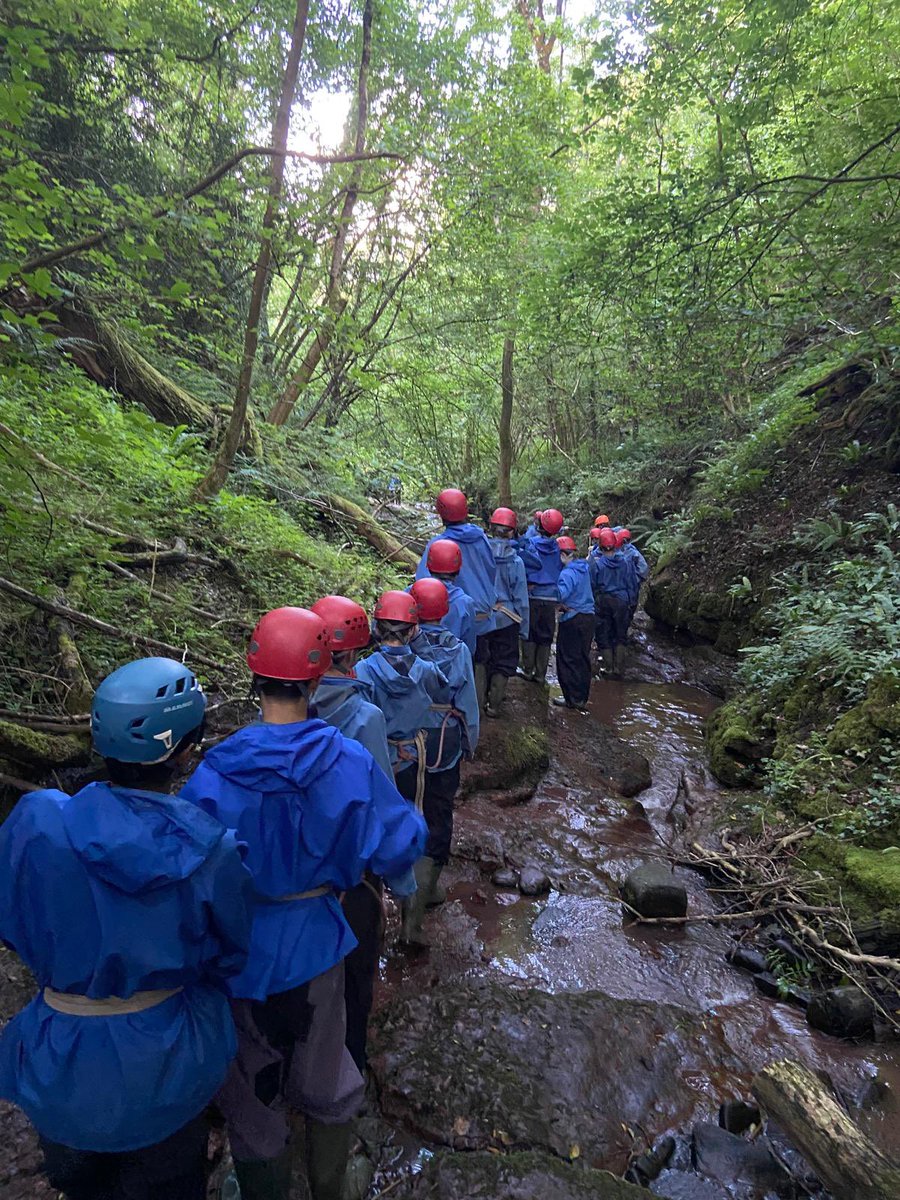 BWS Adventure tweet media