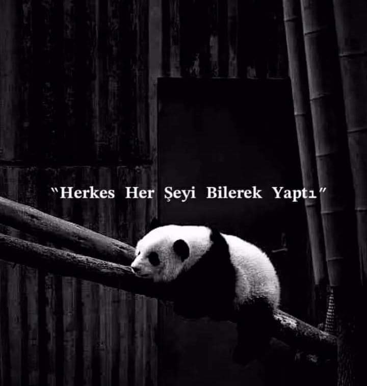 £MR£ (@_kuzeyinoglu__) on Twitter photo 