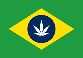 EuFumoUm's tweet photo. 🚨 HISTÓRICO: Por 8 a 3, STF decide descriminalizar o porte de maconha para uso pessoal

A maconha foi legalizada? NÃO. Ainda continua sendo crime o tráfico da cannabis. No entanto, a maioria formada é para que usuários não sejam mais fichados criminalmente ao serem pegos usando. https://t.co/zUhzBcMnxp