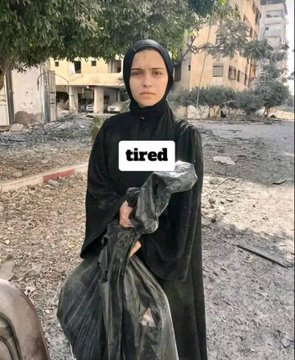 Irudia