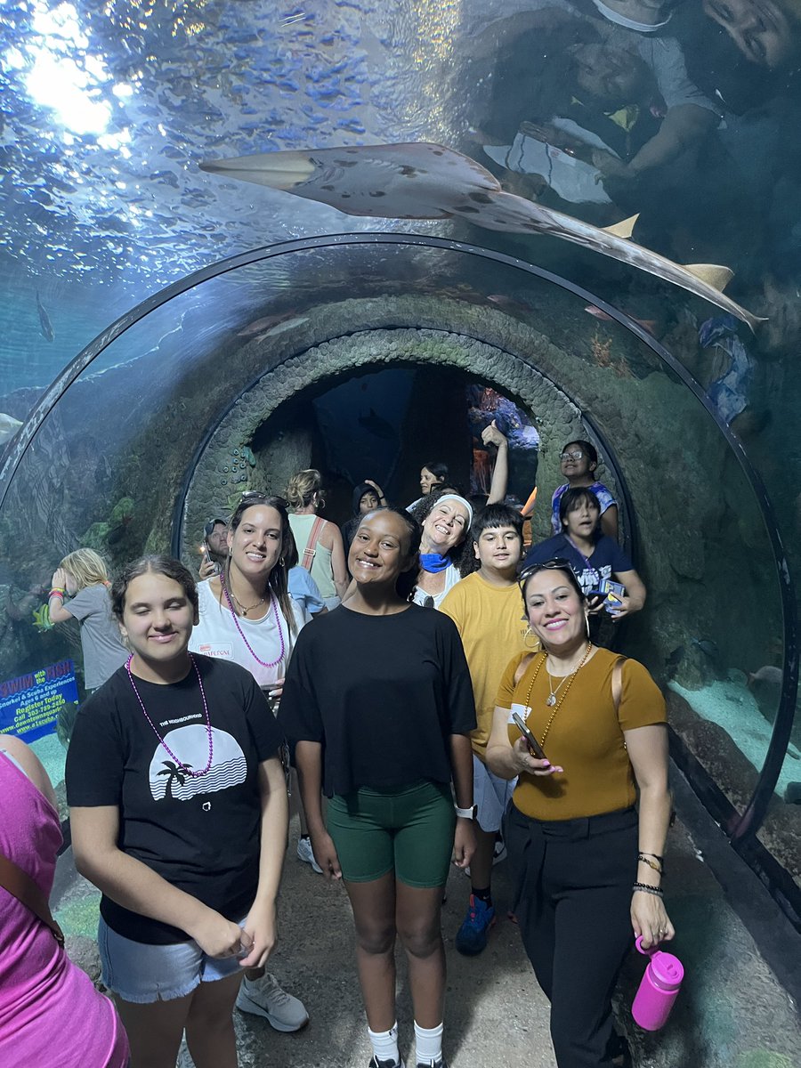 Kelley Radke tweet media