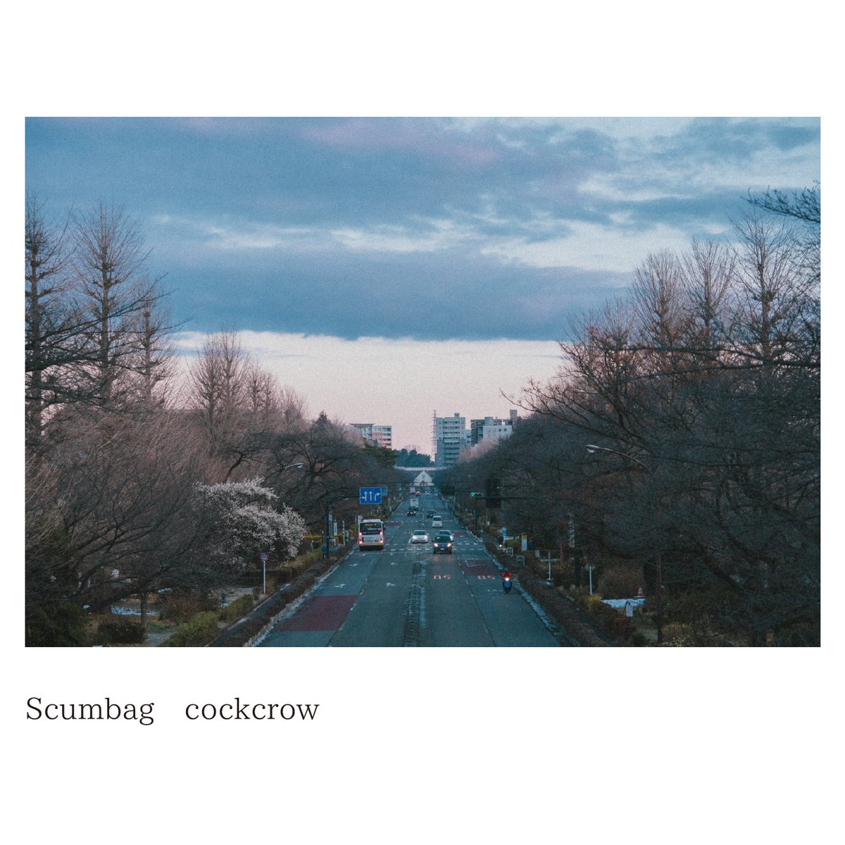 Scumbag (@SCUMBAG0421) / Posts / X