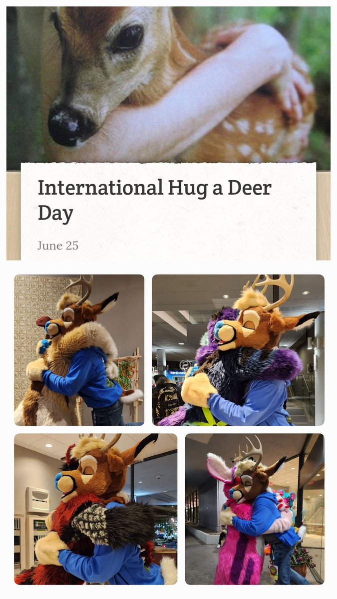 Have you hugged a deer today?