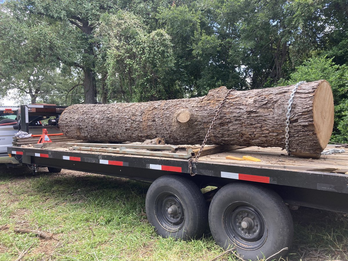Parbuckling some oak logs today for a historic cabin stair improvement.