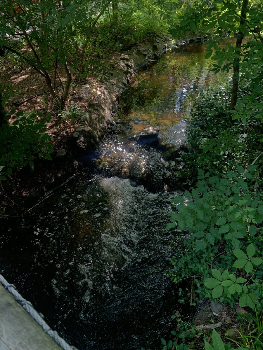 vulnerab1lity's tweet image. luv taking photos