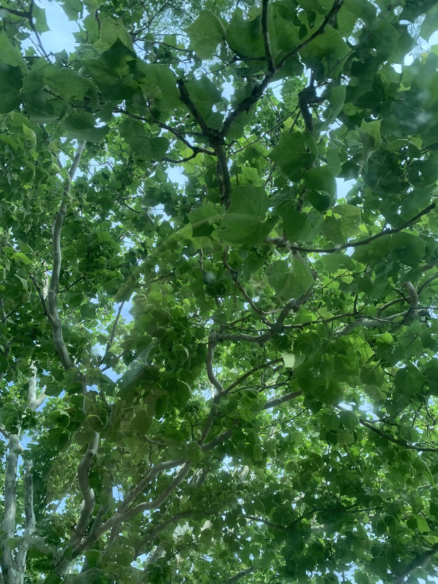 vulnerab1lity's tweet image. luv taking photos