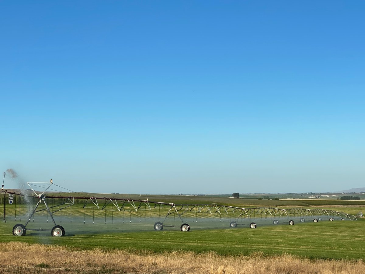 Steve (@stephen07125913) on Twitter photo 