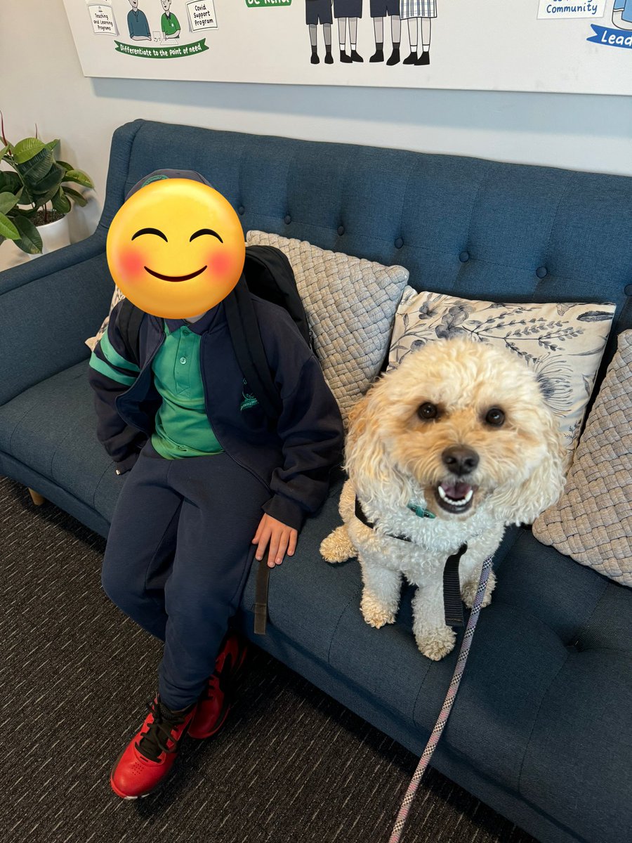 Therapuppy1's tweet image. A day filled with lots of smiles, laughter and most of all, learning. Jellybean knows how to get it done 🐶🐾❤️ #Jellybean #Schooldog #dogsofeducation #dogspfDoE #lovewherewelearn #lovewhatwedo #therapydog #Cavoodle #smiles #laughter #learning