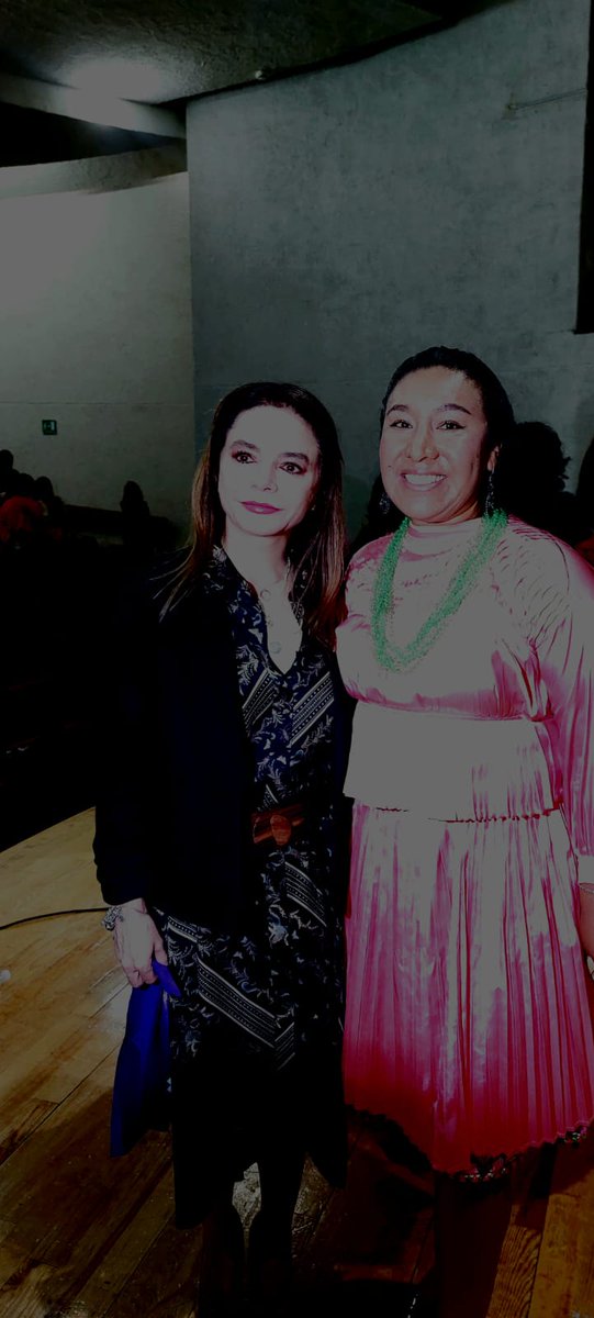 Aprendí más sobre la violencia política hacia las mujeres y la violencia digital con la consejera electoral Carla Humphrey y de Olimpia Coral en un evento organizada por La Comisión de Derechos Humanos, Equidad de Género e Inclusión Social del Sistema Nacional de Transparencia.