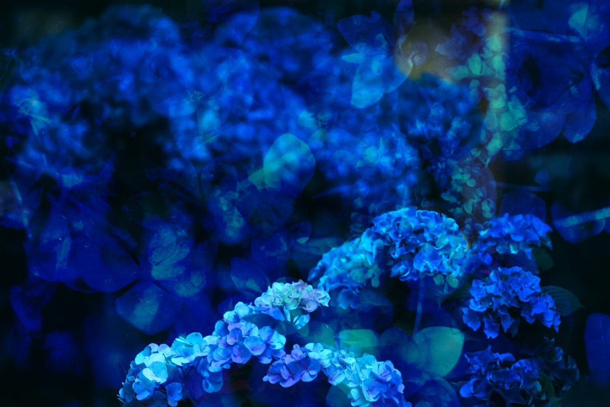 なけとばかりに
風ふきて
ひと色なくした
あじさい語り
夕にまぎれる
おさないしぐさ
すきときらいが
いったりきたり

君をまつ間に
文が濡れ
滲み流れた六月の
星をかくした
雨催い