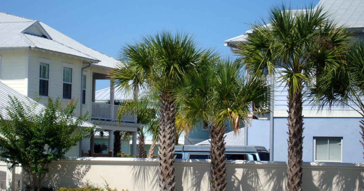 BrownBudget's tweet photo. You could simplify the maintenance of your trees by letting Brown's Budget Tree Service take care of all of that. If you are out of town and need attended to, call Jean at (941) 613-1878.  https://t.co/vno2xT7rhg https://t.co/MLmdmh6JMa