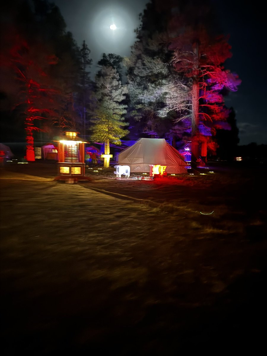 Seppi ✨ tweet media