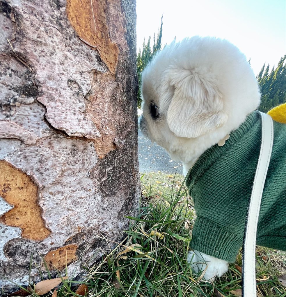 Yeti_tenten's tweet photo. #これでフォロワーさん増えました
いつ見ても近いね！ https://t.co/KMMZ1x0Tu0