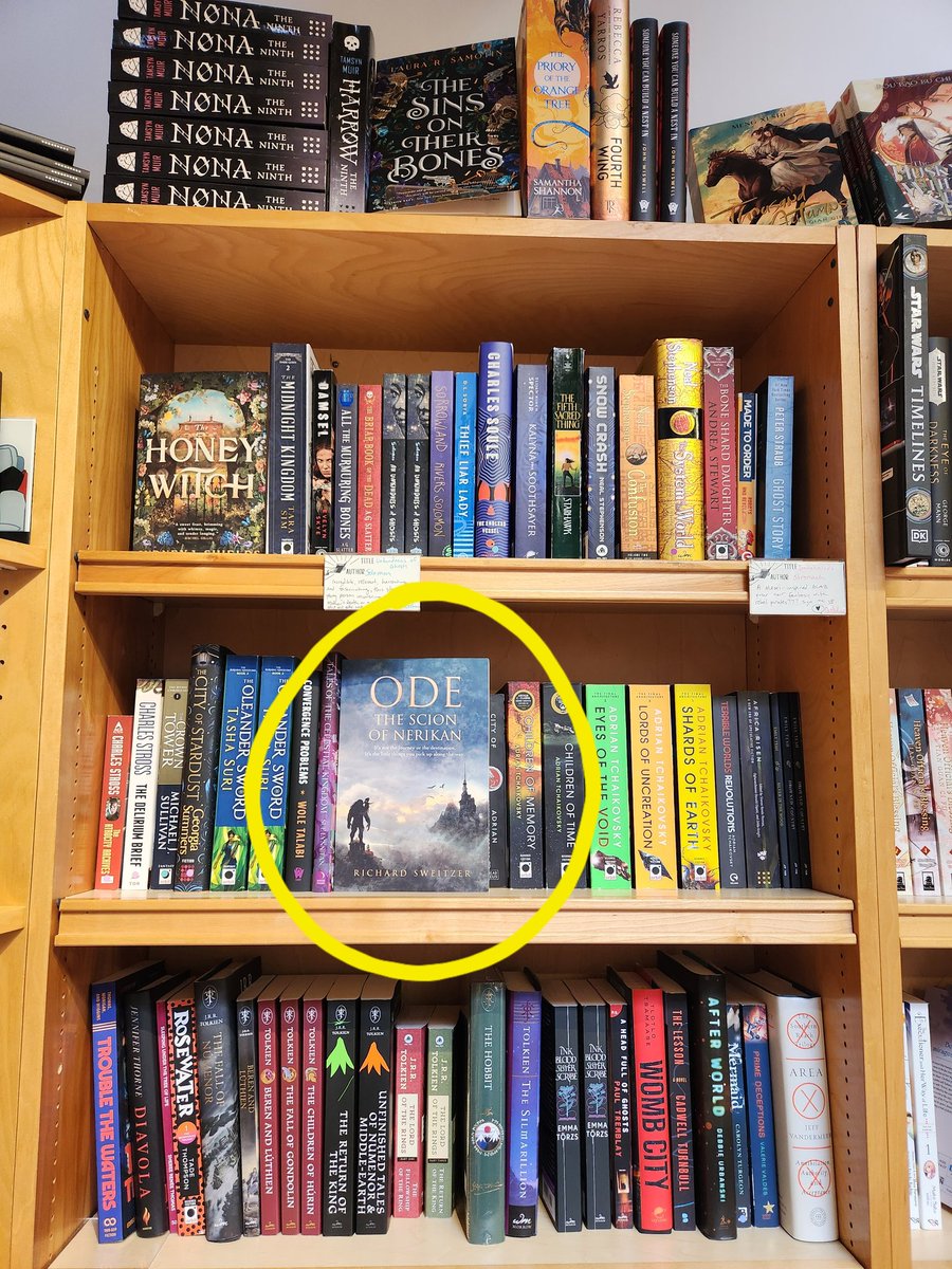 Before my interview on <a href="/wortradio/">WORT 89.9 FM</a> Monday, I popped into <a href="/RoomofOnesOwn/">@roomofonesownbooks.bsky.social</a> Bookstore in Madison. They had one lonely copy of my book on their shelf. If any of you give it a home, please let me know 😊
#indiebookstore #indiebooks 
#bookshelf #books #fantasy #indiefantasy #epicfantasy