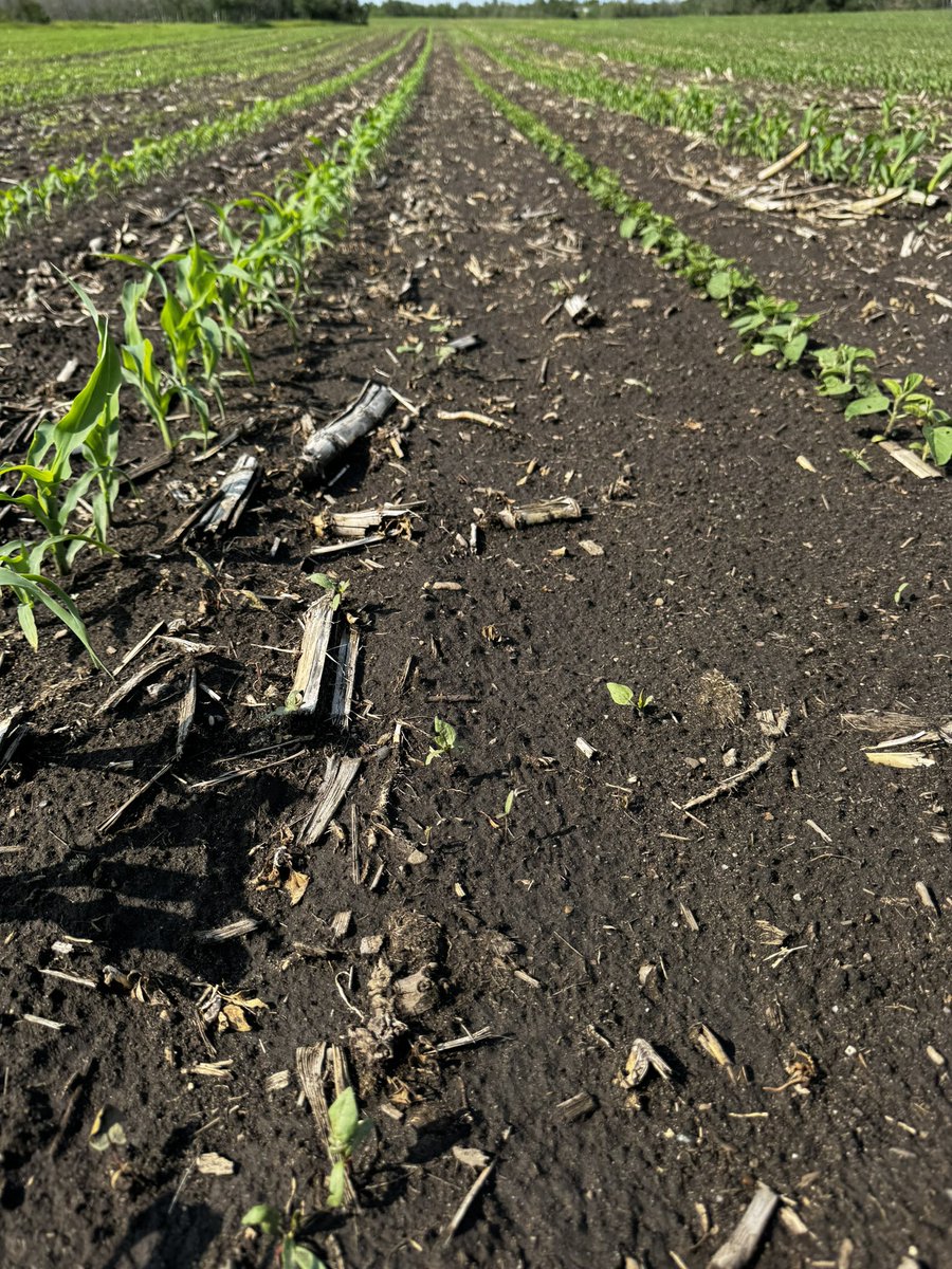 Jade Almberg tweet media