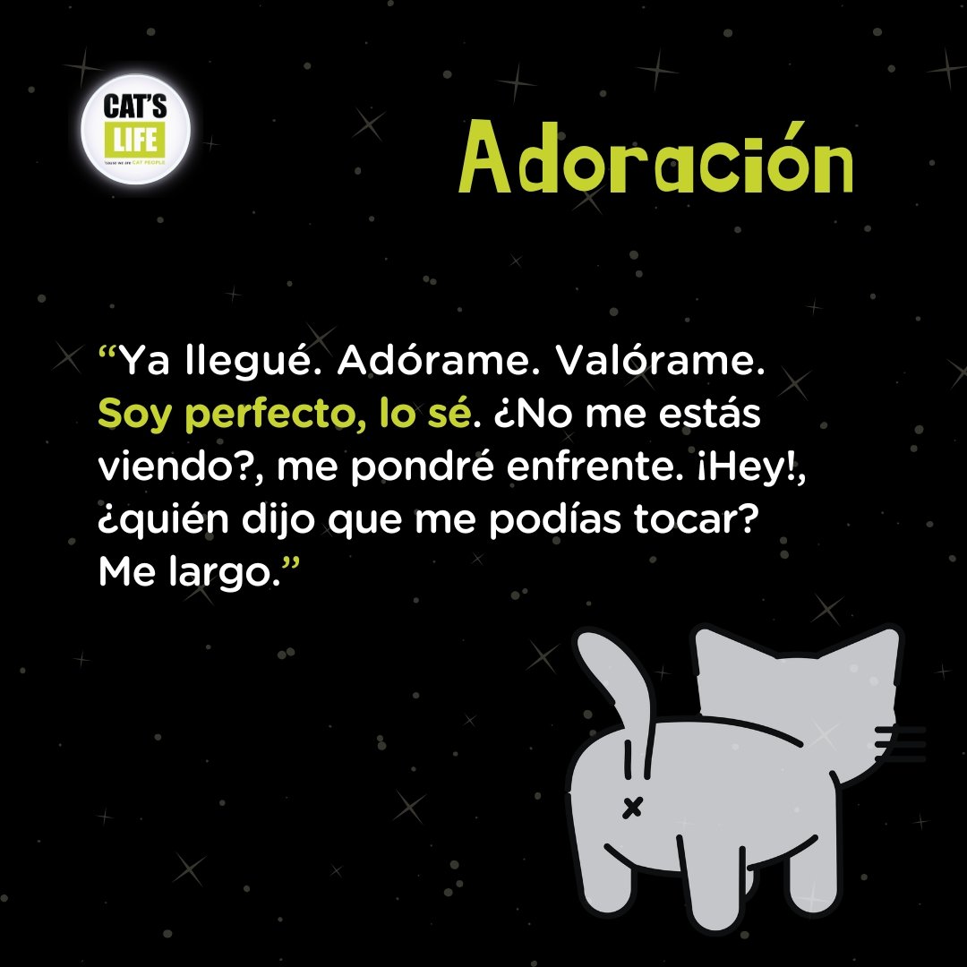 Pet's Life Community tweet media