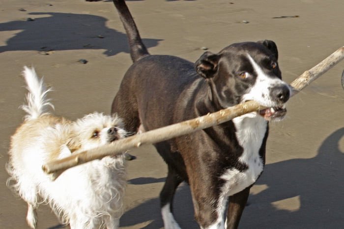 Paul Bronks tweet media