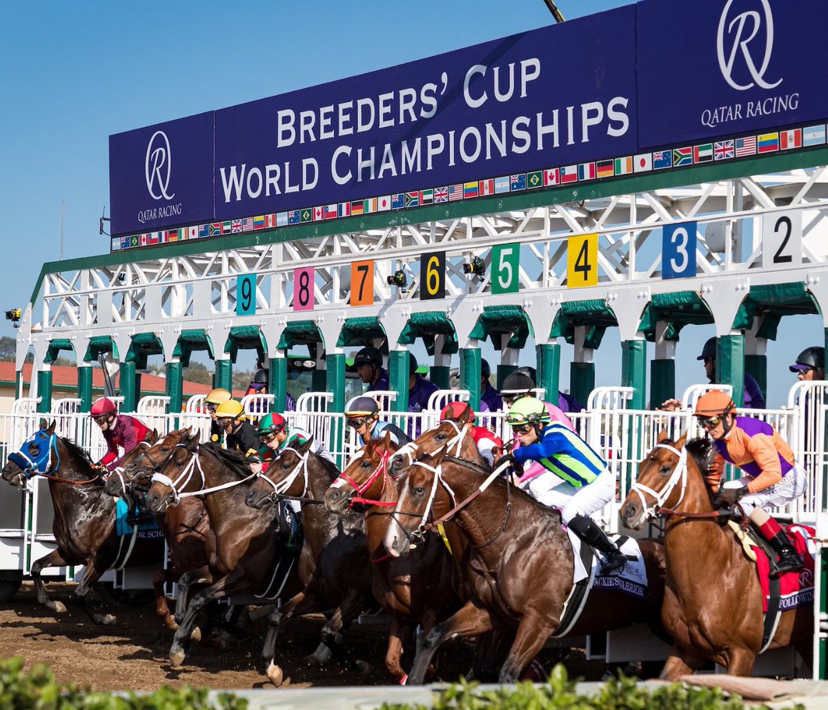 ALBERTO ETTEDGUI R. (@alett15) on Twitter photo 🏇 Aumento de premios…!!!
<a href="/BreedersCup/">Breeders' Cup</a> anunció que la <a href="/BreedersCup/">Breeders' Cup</a> Classic tendrá este año pote a repartir de 7 millones de dólares (antes $6MM) y la <a href="/BreedersCup/">Breeders' Cup</a> Turf subió de $4MM a $5,000,000. En total, en 2024, entre las 14 Breeders’ se repartirán 33 millones de dólares 🏇 Aumento de premios…!!!
<a href="/BreedersCup/">Breeders' Cup</a> anunció que la <a href="/BreedersCup/">Breeders' Cup</a> Classic tendrá este año pote a repartir de 7 millones de dólares (antes $6MM) y la <a href="/BreedersCup/">Breeders' Cup</a> Turf subió de $4MM a $5,000,000. En total, en 2024, entre las 14 Breeders’ se repartirán 33 millones de dólares