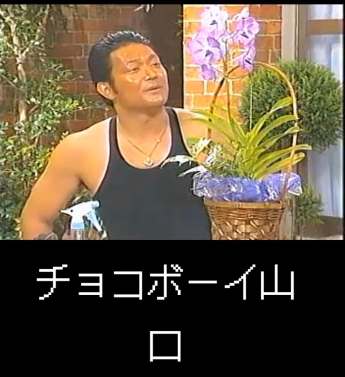 【チョコボーイさん専用】 チョコボーイ山口 - Search / X