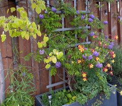 shining_you12's tweet photo. It’s not just the eyes that are tired, enjoy the flowers https://t.co/hG3KNj7QEv