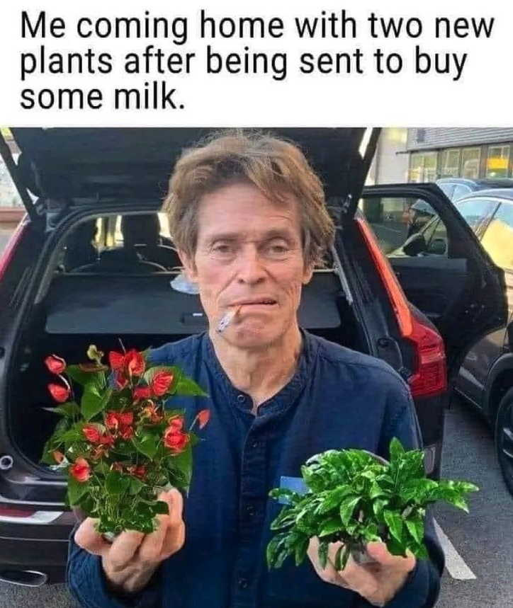 LoupeyGardener's tweet photo. 🤣 https://t.co/6FBVnc5ceS
