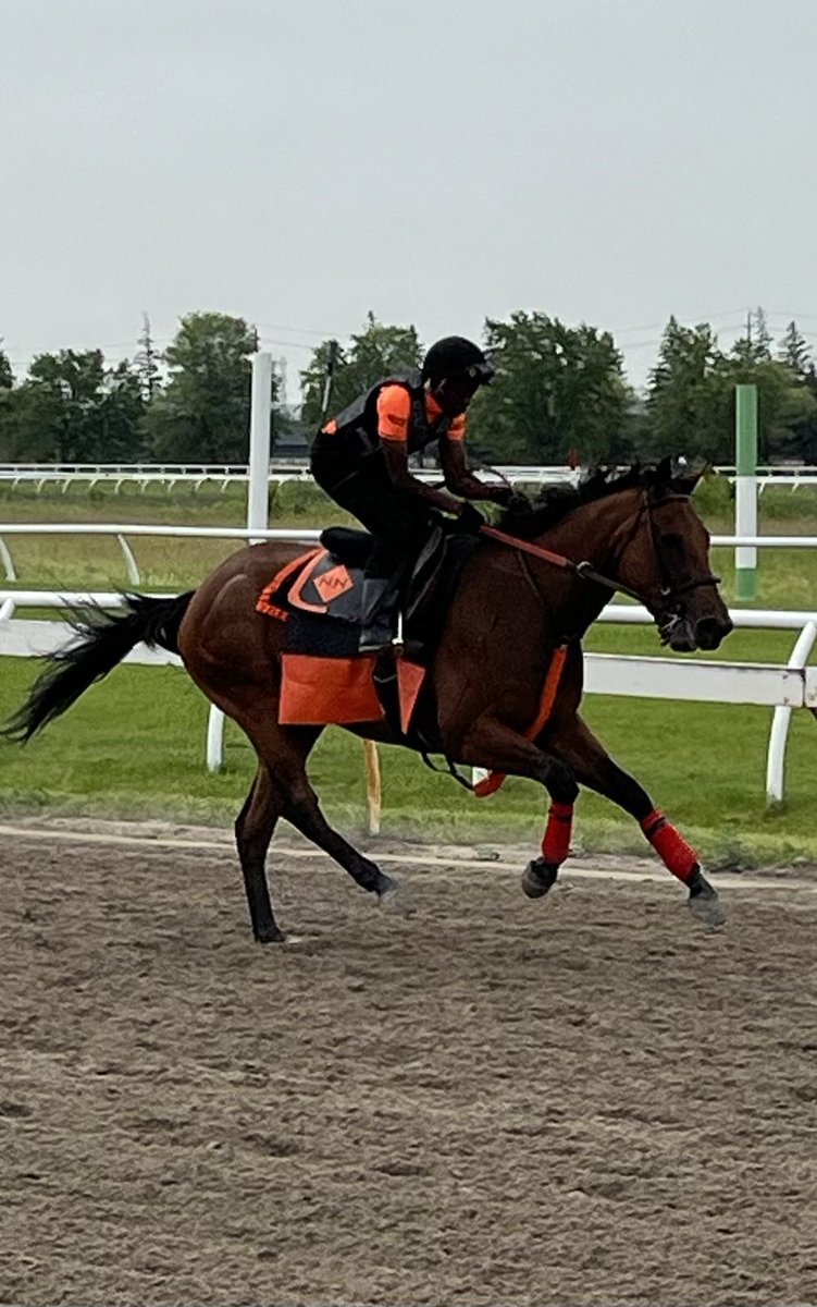 Nick Nosowenko Racing Stable (@nnosowenko) on Twitter photo 
