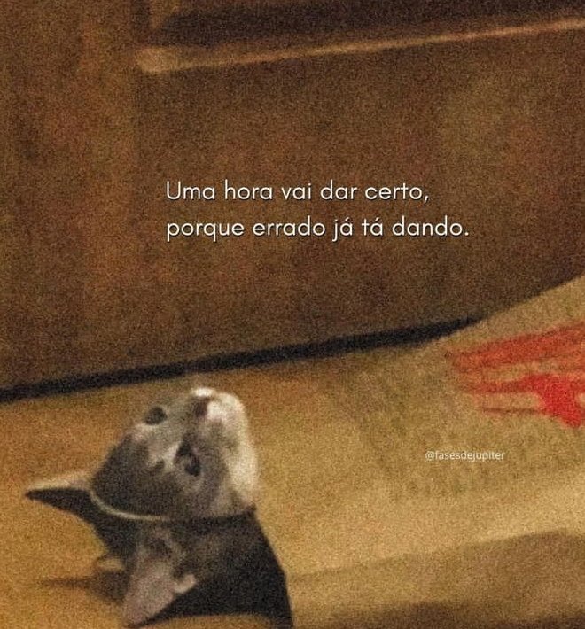 teu caos (@sobreteucaos) on Twitter photo 