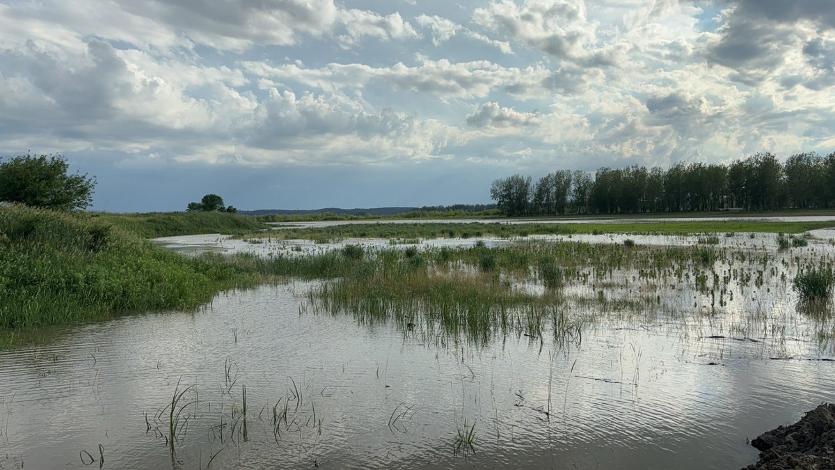 Time for me to go find a job in town! Mighty Missouri took more crop!