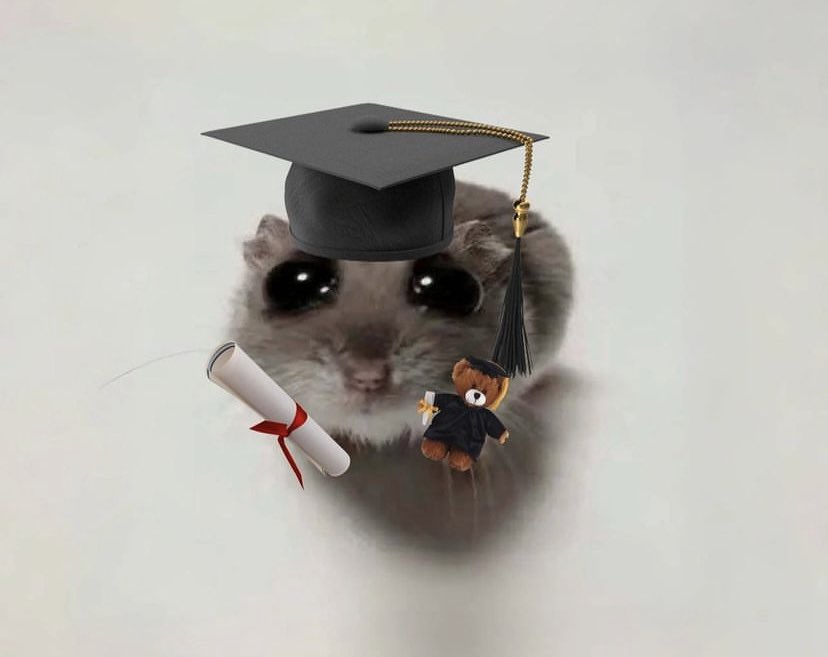 chengrapes's tweet photo. Kafam dağılsın diye ders çalışırken bölüm birincisi oldum 🥇🥹 🎓 https://t.co/qGUYYbU7qO