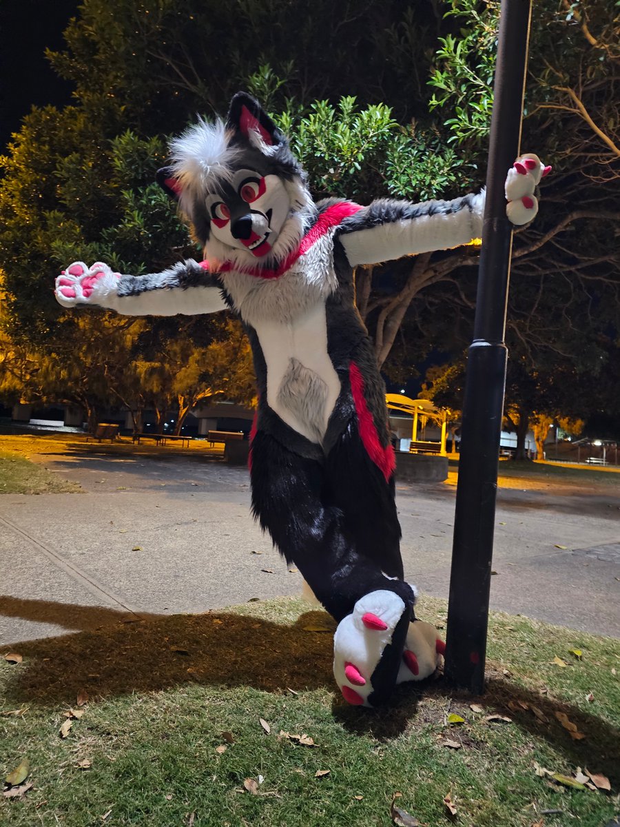 StrikerFoxx's tweet image. Hang out with a fox today?