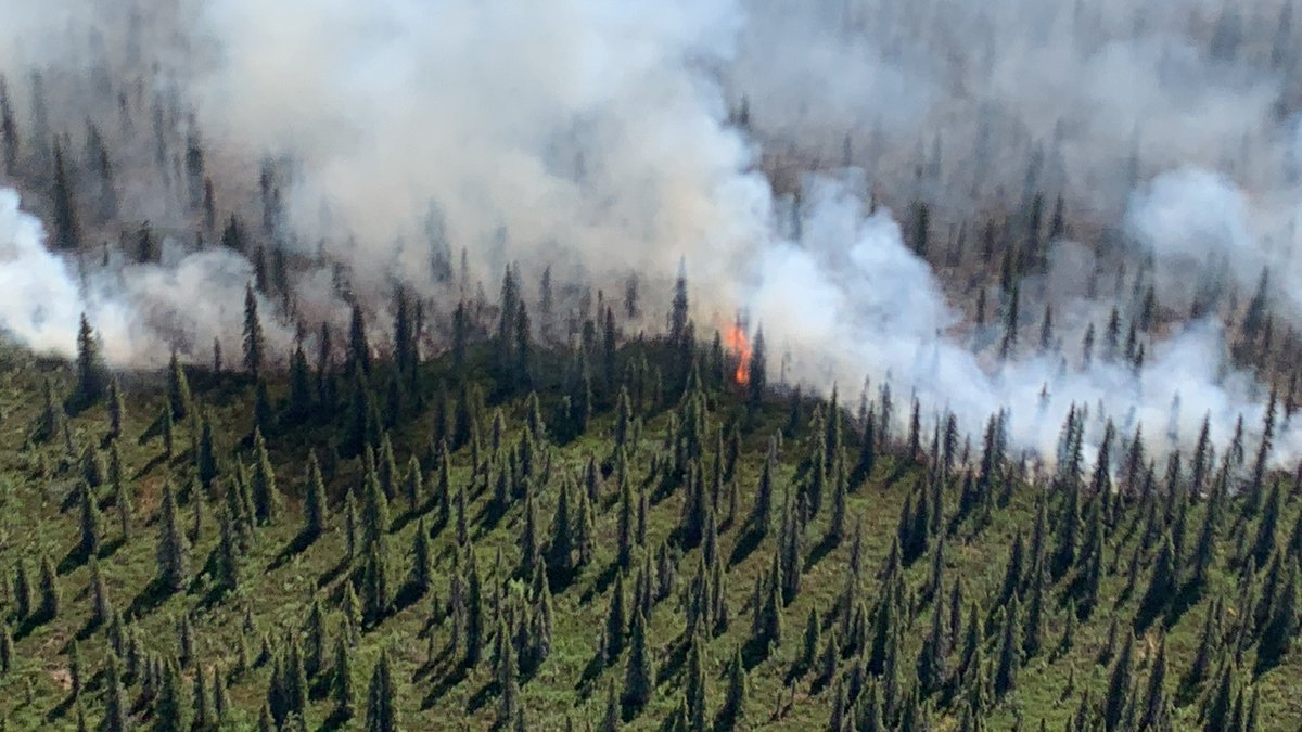 Two wildfires are burning within Katmai at American Creek and Naknek Lake.  Regular monitoring reveals that neither fire poses an immediate threat to life or property.  Smoke may be visible from portions of the park and nearby communities, depending on changing wind conditions.