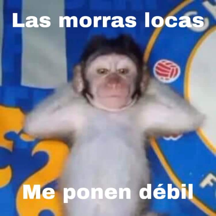 Nasty Poet (@nxstypxet) on Twitter photo 