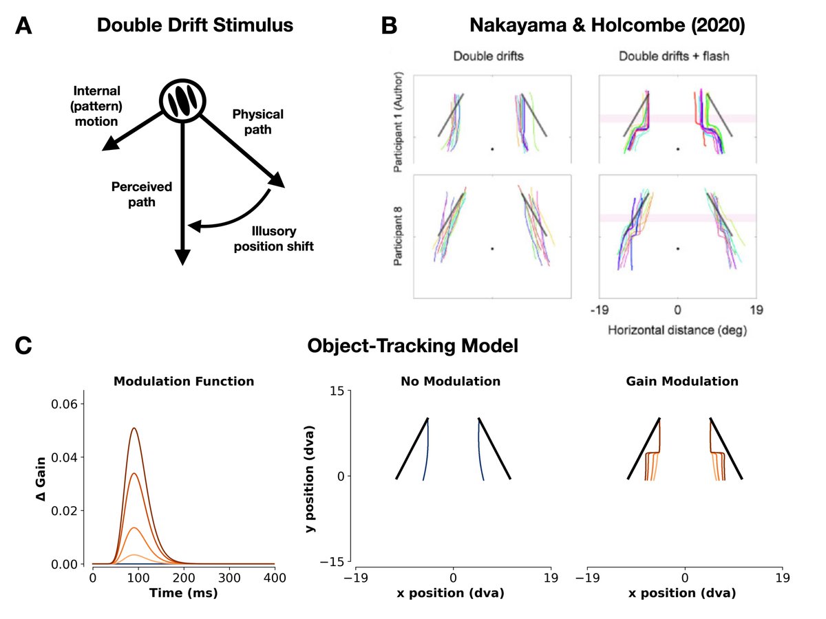 Happy to share this brief preprint w/ Oh-Sang Kwon, Minwoo Kim &amp; <a href="/HinzeHogendoorn/">Hinze Hogendoorn</a>. We suggest that the brain may be able to rapidly re-weight its inputs and predictions during perceptual inference, explaining the puzzling phenomenon of 'position resets'. 

osf.io/preprints/psya…
