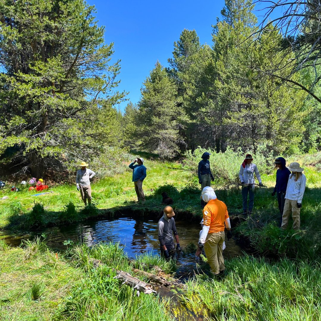 Anabranch Solutions tweet media