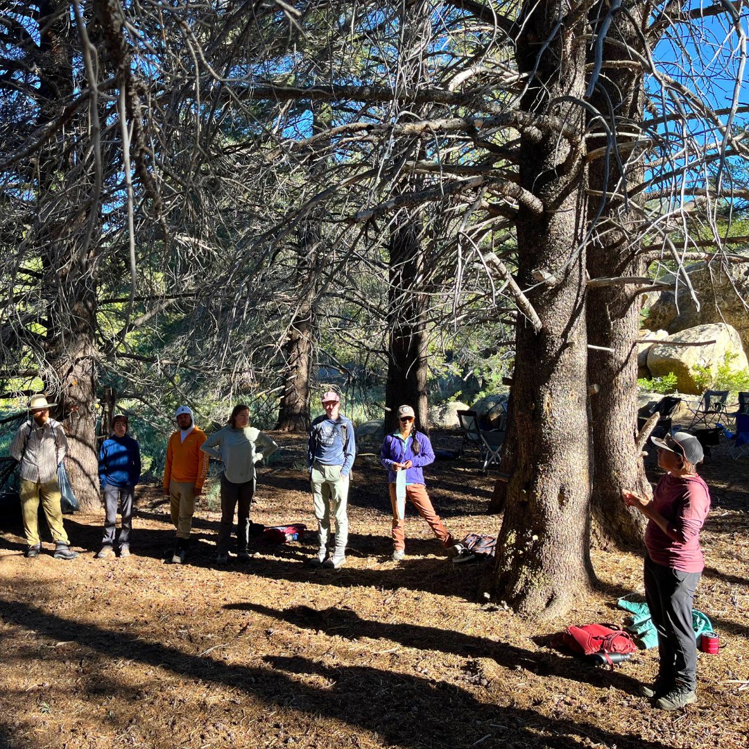 Anabranch Solutions tweet media